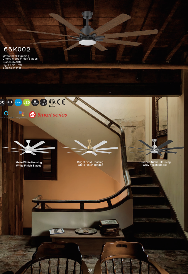 Ceiling fan light-24