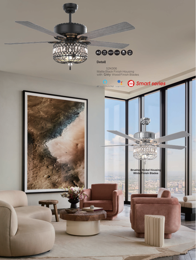 Ceiling fan light-28
