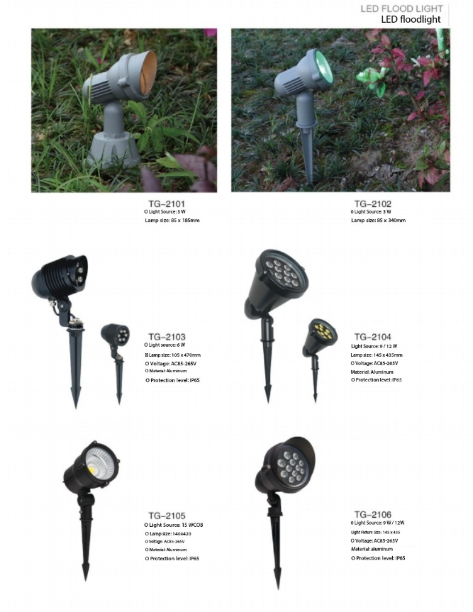 Floodlight-17