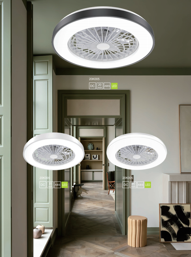 Ceiling fan light-39