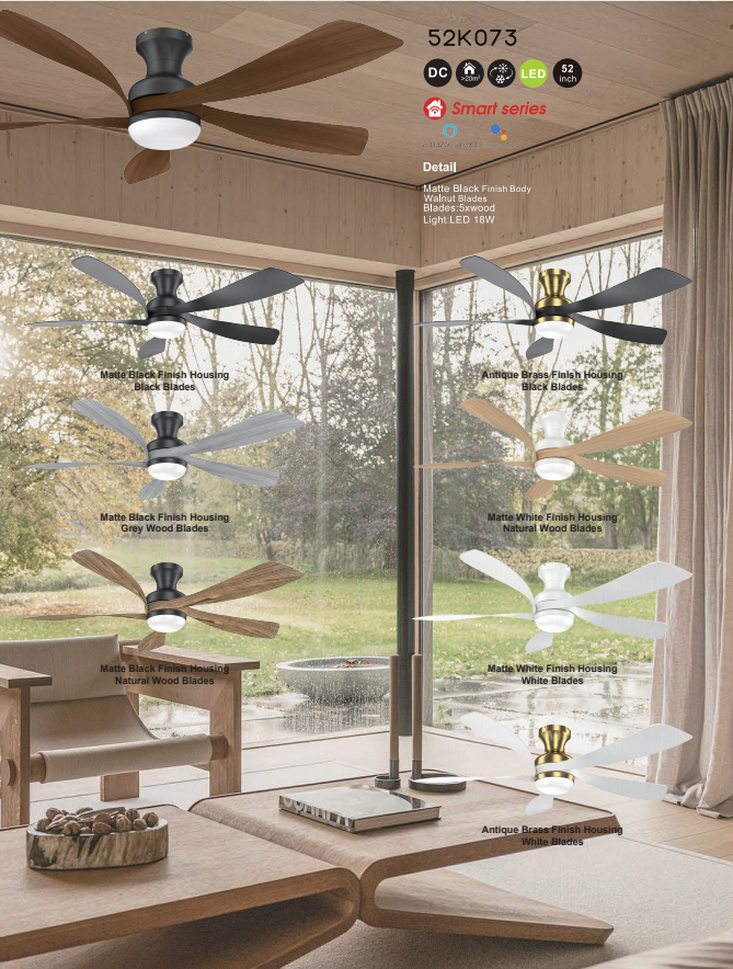 Ceiling fan light-20
