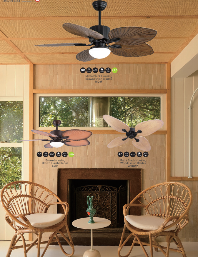 Ceiling fan light-27