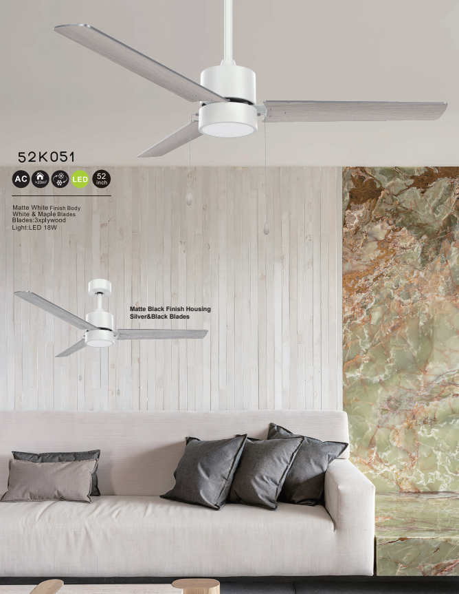 Ceiling fan light-12