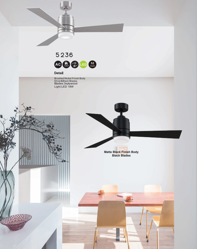 Ceiling fan light-9