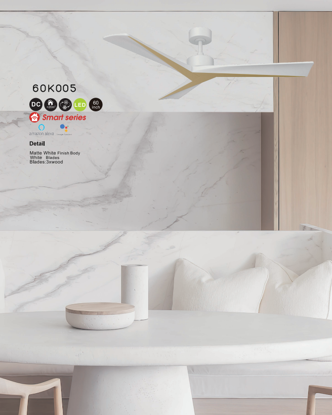 Ceiling fan light-14
