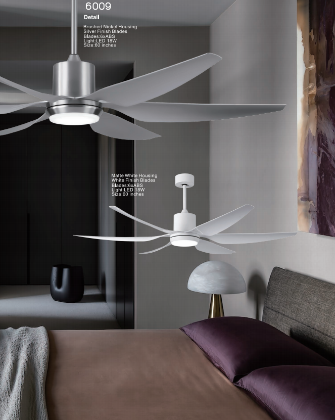 Ceiling fan light-25